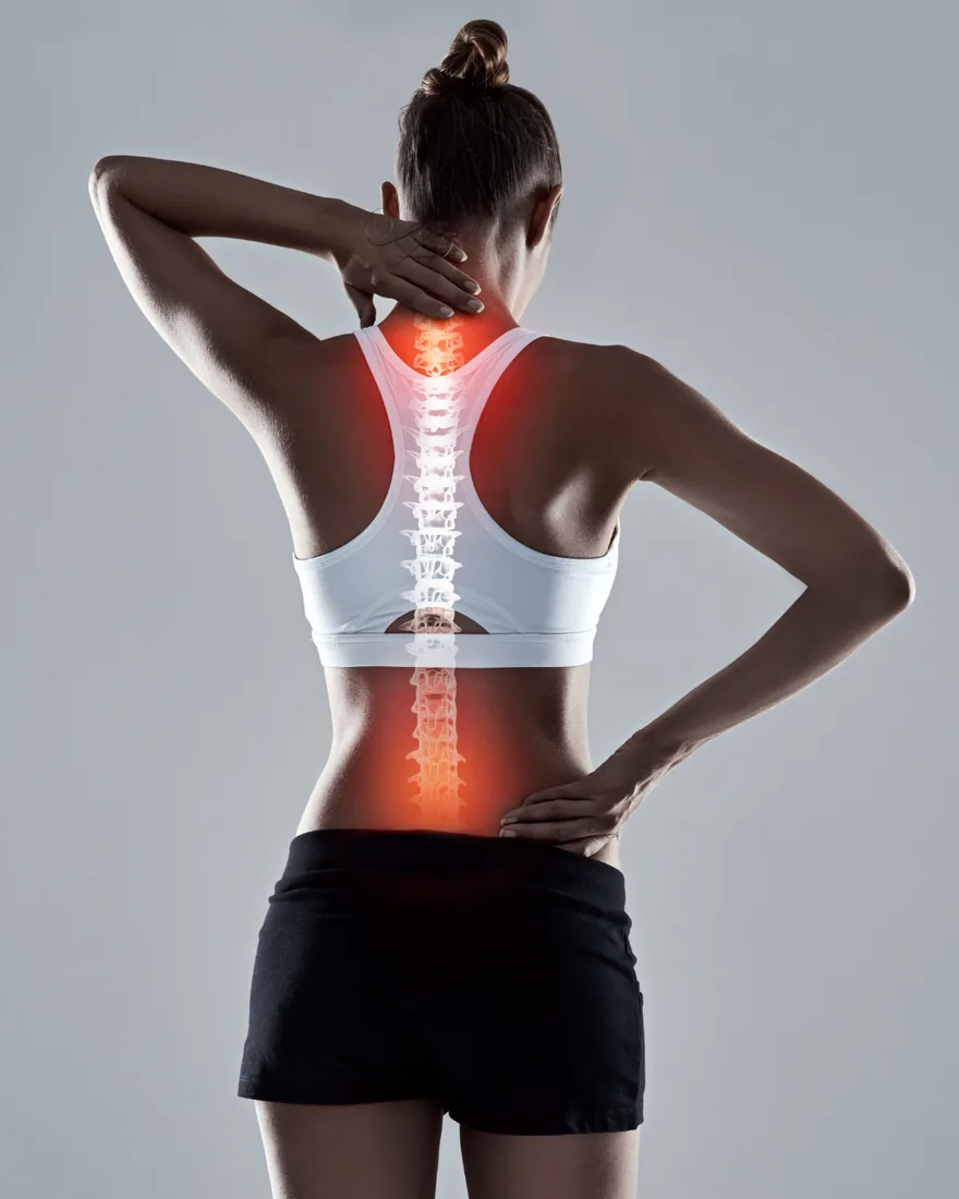 The spine highlighted through a person's back, from the neck to the lower back